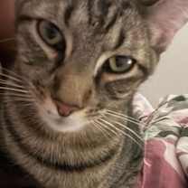 Thumbnail photo of 'Groot' #2