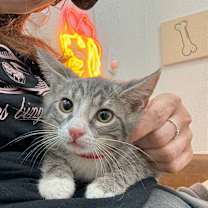 Thumbnail photo of Rootin' Roo #1