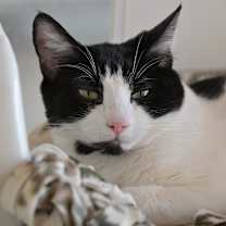 Thumbnail photo of Roll #1