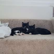 Thumbnail photo of Bugs #3