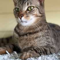 Thumbnail photo of Double Bubble #1