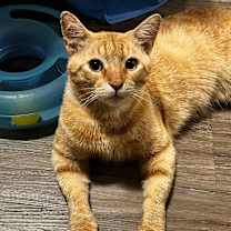 Thumbnail photo of Doodle Bob #1