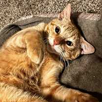 Thumbnail photo of Doodle Bob #3