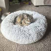 Thumbnail photo of Freya #3