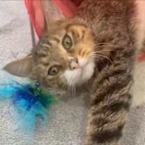 Thumbnail photo of Vince #1