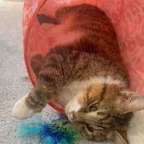 Thumbnail photo of Vince #2