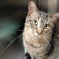 Thumbnail photo of Jeff #1