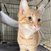 Thumbnail photo of Tracey #2