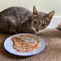 Thumbnail photo of Gocciola #1