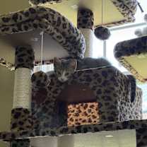 Thumbnail photo of Jackson #1