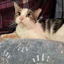 Thumbnail photo of Theo  #3