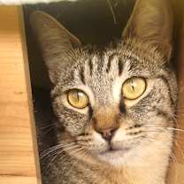 Thumbnail photo of LADY #1