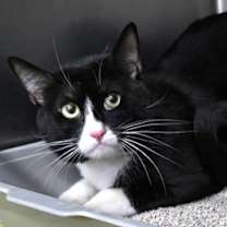 Thumbnail photo of 656477 Dewey #1