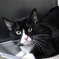 Thumbnail photo of 656477 Dewey #2