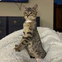 Thumbnail photo of Recycle #4