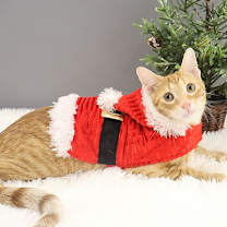 Thumbnail photo of Wendell #1