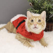 Thumbnail photo of Wendell #2