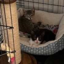 Thumbnail photo of Joel #3