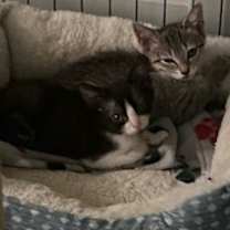 Thumbnail photo of Joel #4