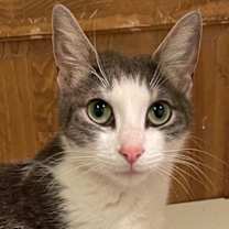 Thumbnail photo of Haven (LE) #1