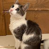 Thumbnail photo of Haven (LE) #2