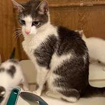 Thumbnail photo of Haven (LE) #3