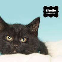 Thumbnail photo of LISETTE #2