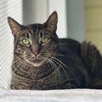 Thumbnail photo of Lorelai #1