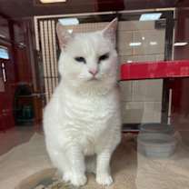 Thumbnail photo of Emma #2