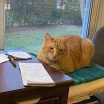 Thumbnail photo of Apollo #3