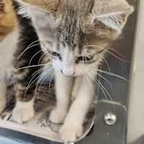 Thumbnail photo of JC #1