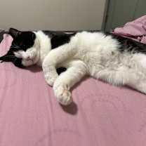 Thumbnail photo of Jack #1