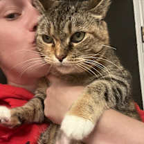 Thumbnail photo of French Toast #1