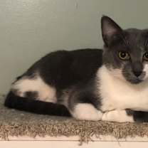 Thumbnail photo of Rella #3