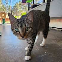 Thumbnail photo of Alva #1