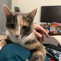 Thumbnail photo of Grace #2