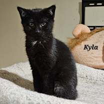 Thumbnail photo of Kyla #1