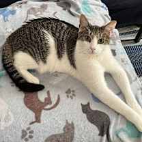 Thumbnail photo of Sydney #1