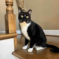 Thumbnail photo of Benny #1