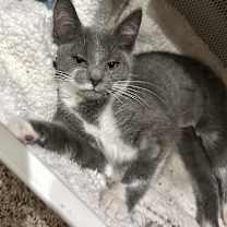 Thumbnail photo of Dawn #3