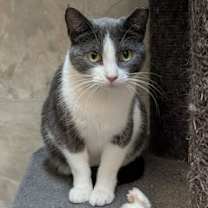 Thumbnail photo of Emma #1