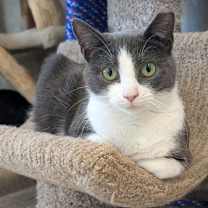 Thumbnail photo of Emma #2