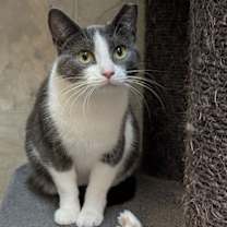 Thumbnail photo of Emma #3