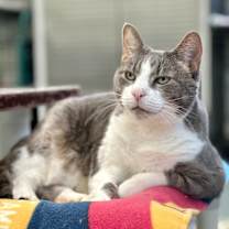 Thumbnail photo of Soren #2