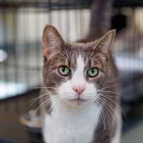 Thumbnail photo of Soren #4