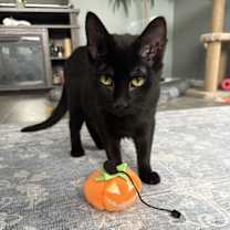 Thumbnail photo of Jordon #1