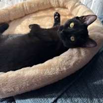 Thumbnail photo of Jordon #2