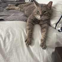 Thumbnail photo of Chance #1