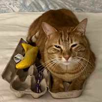 Thumbnail photo of Squirrelly #3