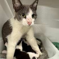 Thumbnail photo of River JG #2